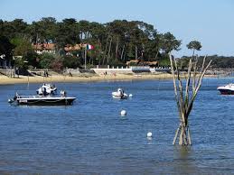 Villegiature Village De L Herbe Presqu Ile Du Cap Ferret Bassin D Arcachon Gironde Aquitaine France Sea Table Decorations
