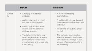 How To Tell A Tantrum From A Meltdown