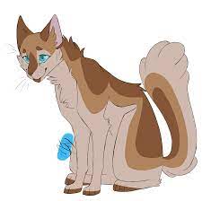 Warrior Cats M Jay Warriors Art Warrior Cats Warrior Cats Art Warrior Cats Books