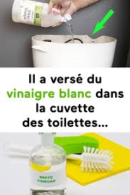 Il A Verse Du Vinaigre Blanc Dans La Cuvette Des Toilettes Diy Beauty Toothpaste Summer Recipes