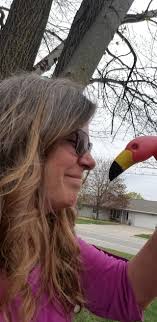 What does it mean when an RV site has flamingos?