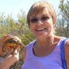 Barbara Mayle (barbaramayle)