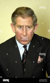 University gap year hi-res stock photography and images