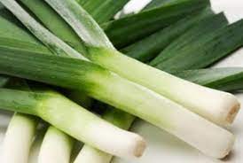 We did not find results for: Petani Kabupaten Bandung Keluhkan Harga Bawang Daun Dan Seledri Terjun Bebas Republika Online