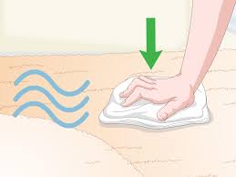 Drop ice on the dried slime and wait for 10 minutes or until the slime is frozen. How To Get Dried Slime Out Of Carpet 9 Steps With Pictures