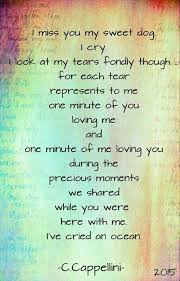 Benji En Rocky Miss My Dog Pet Loss Grief Dog Poems