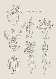 Vegetable Drawings By Ryn Frank Www Rynfrank Co Uk Cizim Egitimleri Illustrasyonlar Cizim