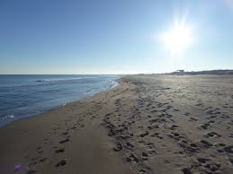 Find great savings on hotels in saint pierre la mer downtown. Mittelmeer Flamingos Und Historische Stadte Unterwegs Im Languedoc Roussillon Urlaubstipps Mit Hund