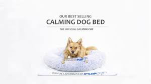 Give your dog a comfy place to sleep with one of our dog beds made in the usa. Calming Dog Bed Usa Delivered 1 2 Days Calming Pup Official