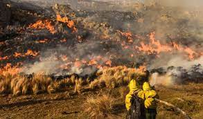 El perfil que triunfa en redes. Incendios En Cordoba Causas Y Consecuencias Ambientales Nota Al Pie