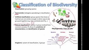 Topic 5 3 Classification Of Biodiversity Amazing World Of