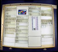 Image result for Limnophila bangweolensis