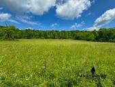 Ohio Undeveloped Land for Sale - 2,318 Listings | LandWatch