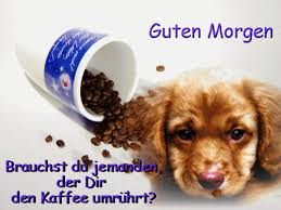 Guten Morgen Bilder Mit Hunden Spanische Spruche Hakelmutzen Spielzeug Tiere Spanische Spruche Hakelmu Guten Morgen Bilder Guten Morgen Guten Morgen Lustig
