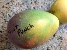 Peaches and nectarines do not and can be grown as a single tree. Mango Tree Fruit Punch Varierty Grafted