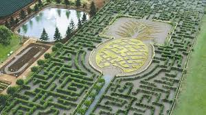 Maybe you would like to learn more about one of these? Dole Plantation Startseite Facebook