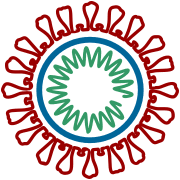 وڪيپيڊيا:وڪي منصوبو ڪووڊ-19