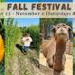 Fall Festival at Mayhem Ranch event image