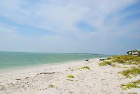 Image result for Sandy Beach Brown 2011 Captiva