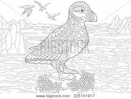 There's also a nice grouping of holiday coloring pages here. Coloring Page Adult Vector Photo Free Trial Bigstock