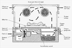 نتیجه جستجوی لغت [incubator] در گوگل