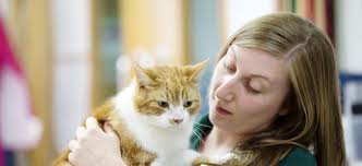 Our Veterinary Nurses