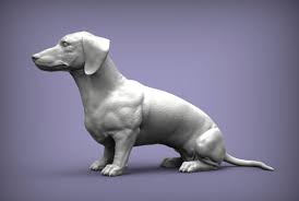 Buff dachshund