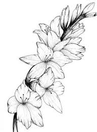 Black And White Floral Tattoo Designs 41 Ideas For Flowers Tattoo Drawing Drawing Tattoo Flowers Gladiolus Flower Tattoos Birth Flower Tattoos Flower Tattoo Drawings