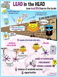 Image result for Lead Poisoning