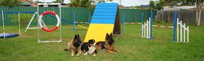 Latest dog agility equipment australia reviews. Bbae Home