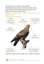 Image Result For Bagian Bagian Burung Dan Fungsinya