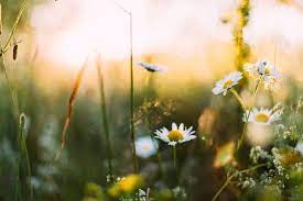 We have reviews of the best places to see in spring. Tipps Zu Spring Async Teil 1 Blog T2informatik