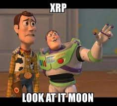 Move over shiba inu (shib), a meme token marketplace is coming to polygon. Xrp Monnshot 9gag