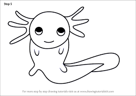 Why buy these japanese sketch books. Learn How To Draw An Axolotl For Kids Animals For Kids Step By Step Drawing Tutorials