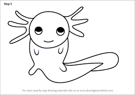 Well, i myself am the owner of rabbits and i enjoy their amusing. Learn How To Draw An Axolotl For Kids Animals For Kids Step By Step Drawing Tutorials