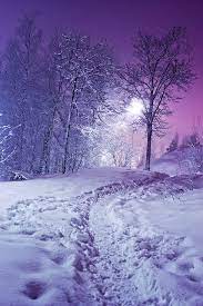 Maybe you would like to learn more about one of these? Snow Is Not White In The Night Winter Scenes Winter Scenery Beautiful Nature