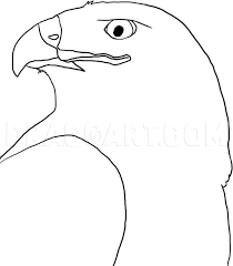 Welcome to my art channel. How To Draw A Hawk Step By Step Drawing Guide By Dawn Dragoart Com