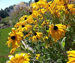 Oregon City Childcare Finder