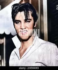 Werbung Foto von Elvis Presley in Concert circa, 1955. Datei Referenz #  32914 782 THA Stockfotografie