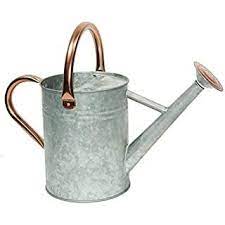 Amazon Com Cesun Metal Watering Can Galvanized Steel Watering Pot With Removable Spray Spout Movable Upper Metal Watering Can Watering Can Galvanized Steel