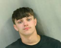 Two from Logan area accused of stealing $14,000