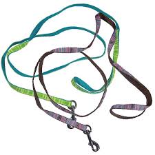 Cat collars & leads — wide assortment real reviews warrantyaffordable prices regular special offers and discounts up to 70%. Cat Kitten Collars Shop A Range Of Feline Collars Australia