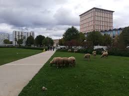 The success of all students, as soon as they enter university, is a priority for université de paris. Universitat Paris Nanterre Wikipedia