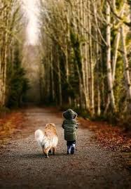 Ou Vas Tu Where Are You Going Dogs And Kids Cute Animals Animals
