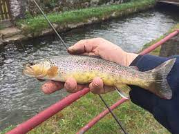 So now you should select 1 more symbol. Garbolino Wild Stream T Srs 4m50 Fishfriender