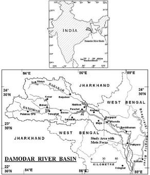 Damodar River Basin: Classic example of watershed-based regional planning, AI generated