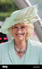 T carrick hi-res stock photography and images