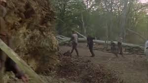 Abandoned hornet's nest found in a shed. Yarn You Ve Stirred Up A Bloody Hornet S Nest Now Robin Hood Prince Of Thieves 1991 Video Clips By Quotes Clip Text E0287fd1 9e99 4552 B6ef C0d0ed138b02 ç´—