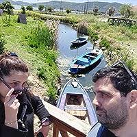 Thinks . . . by David Lodge