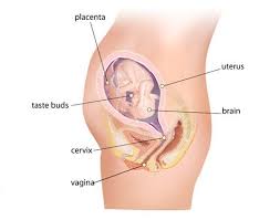 Pin On All Things Baby